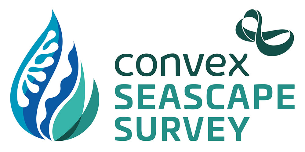 Convex Seascape Survey Title