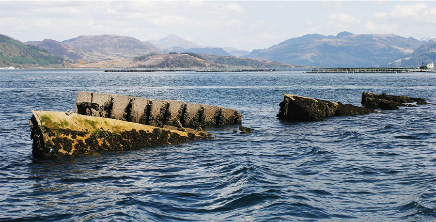 The HMS Port Napier wreck