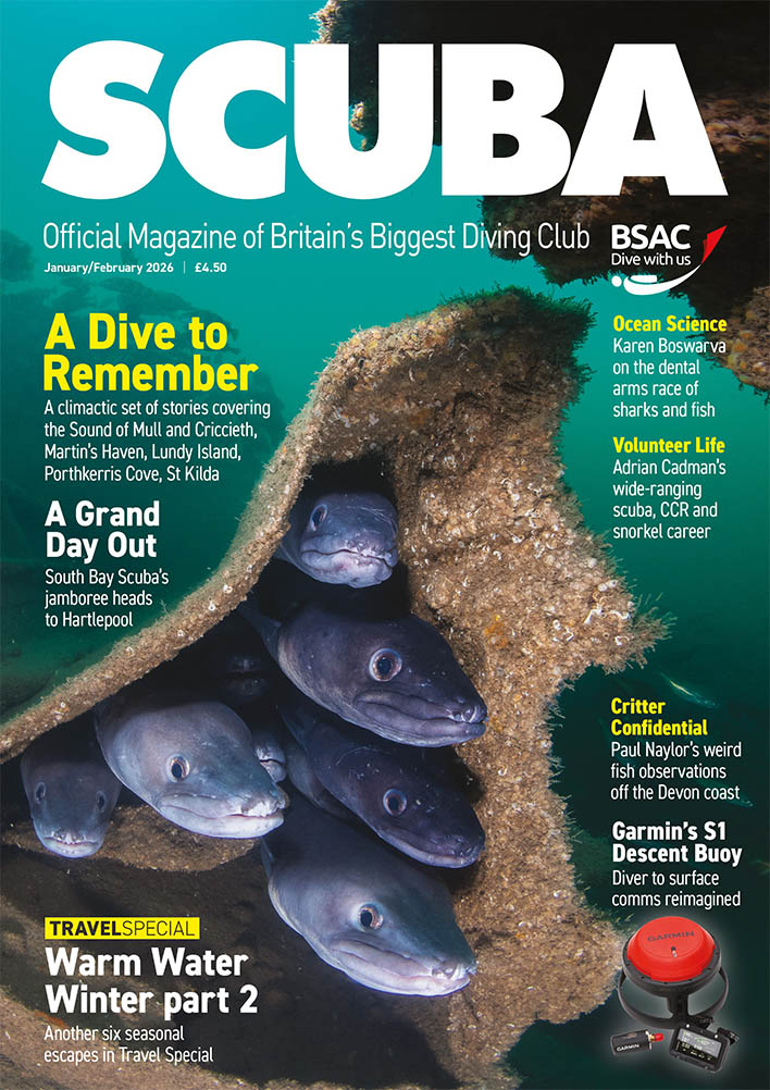 iSCUBA 162 front page