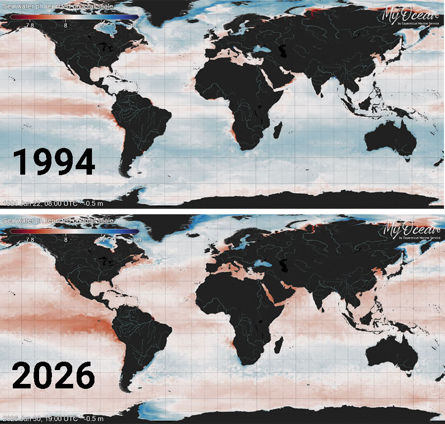 The maps show the levels of ocean acidity for 1994 compared to 2026