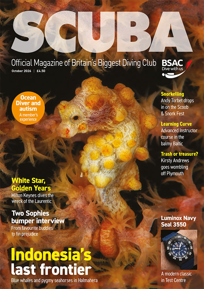 iSCUBA 169 front page