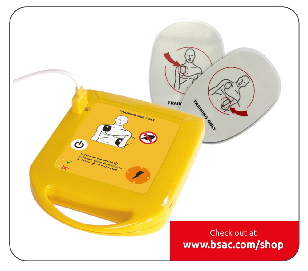 mini trainer