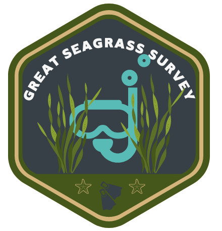 Great Seagrass Survey