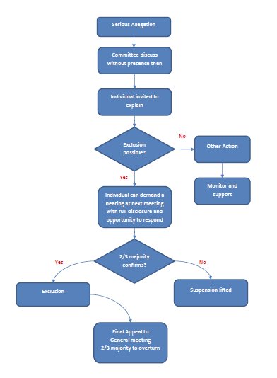 Process for serious allegations flowchart
