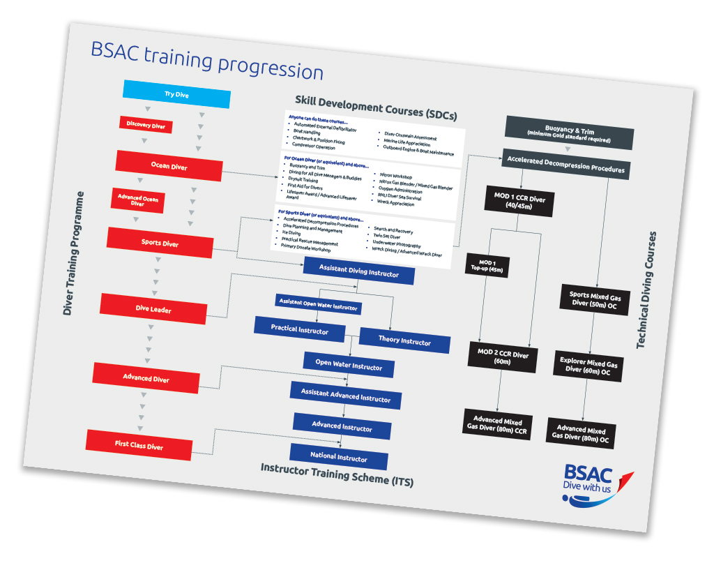 progression chart