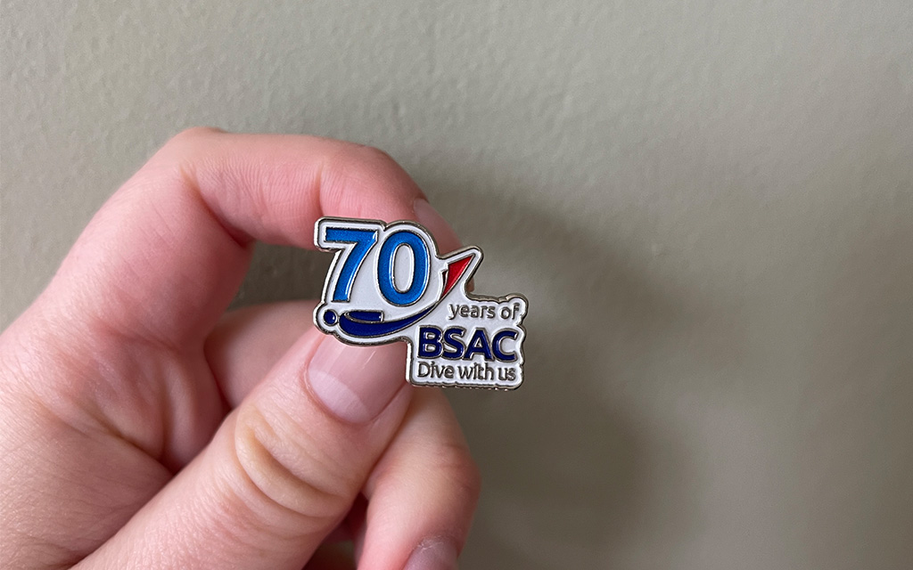 image of pin badge with 70th logo