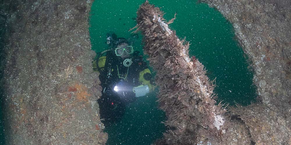 A diver examines the propeller on the wreck of the Heron