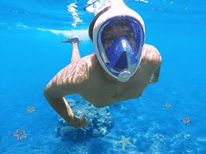 HEAD/MARES Comment On Recent Snorkeling Deaths In Hawaii