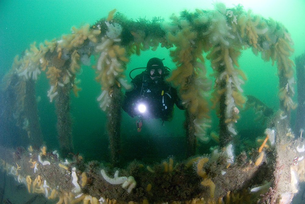 SS Breda - (c) Jane Morgan
