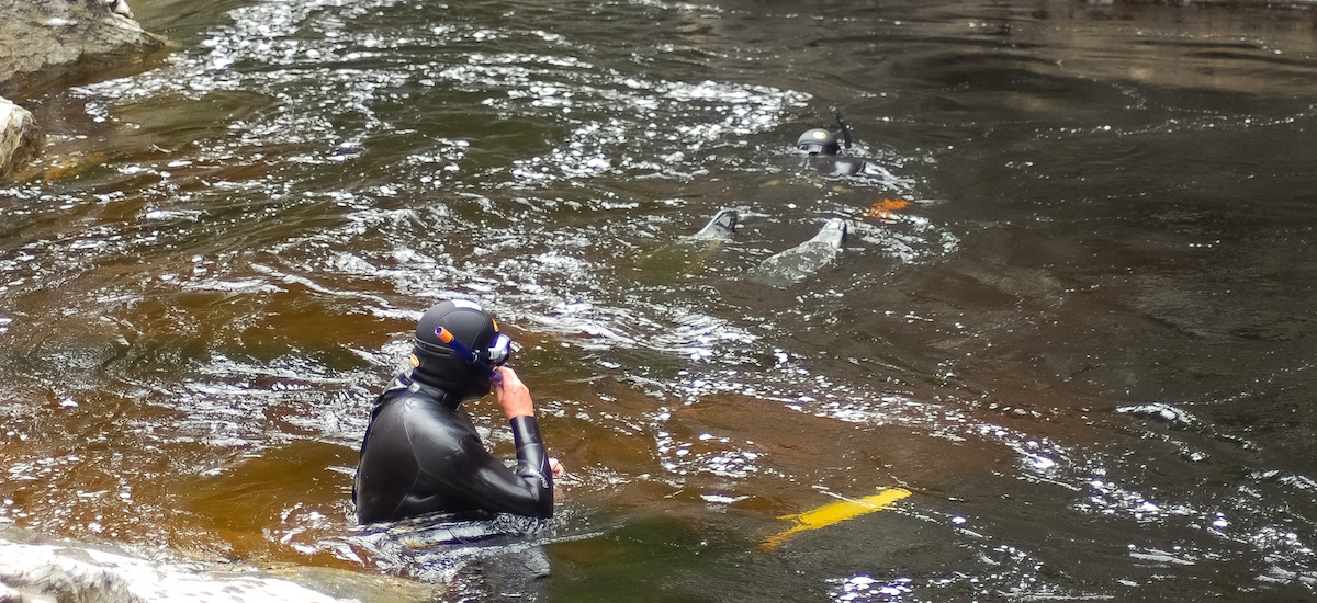 Snorkellers cautiously enter the water.