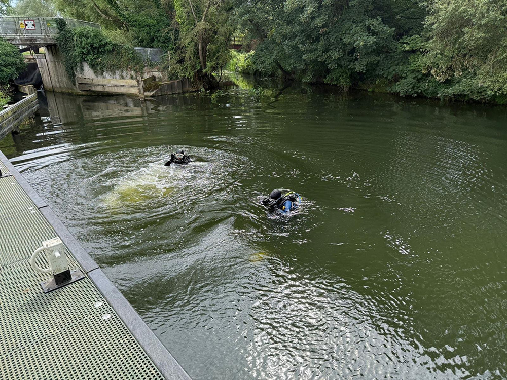 Bedford divers
