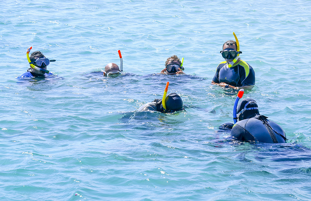 BSAC Egypt snorkelling