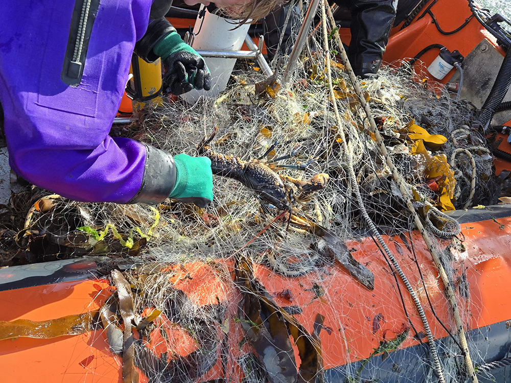 Fathoms Free recovering net