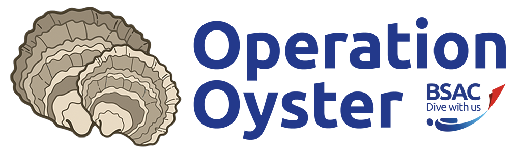 operation oyster