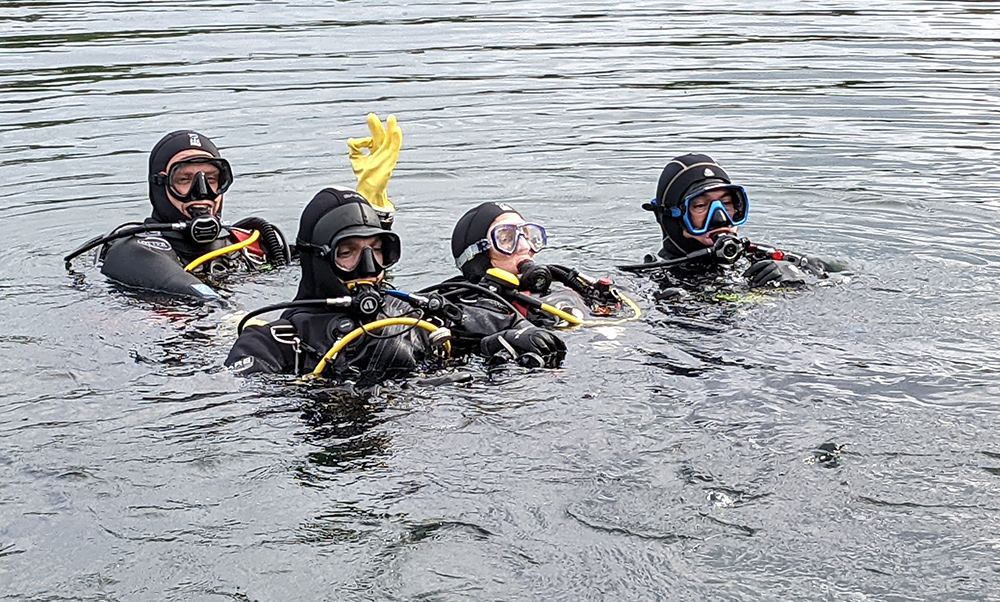 Divers on OWIC