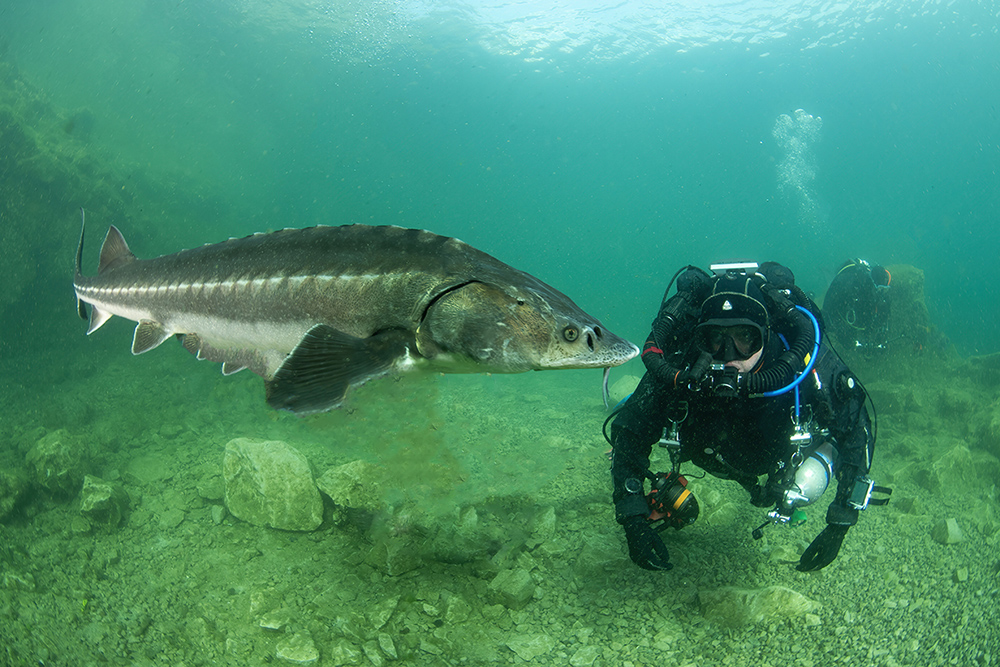 Capernwray 70th event