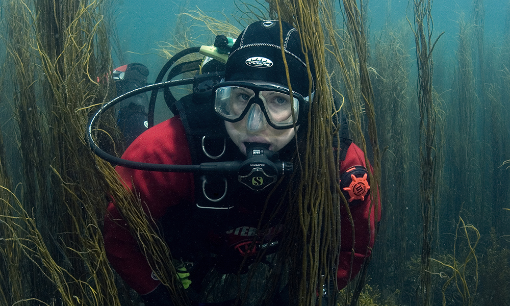 A diver swimming through sea grass near the sea bed