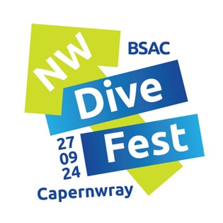 dive fest 2024