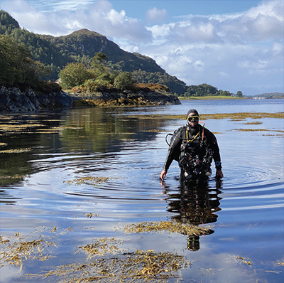 Return to diving