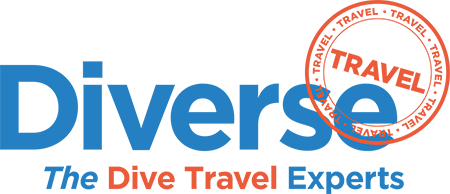 Diverse Travel