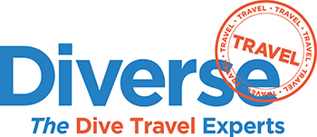 Diverse Travel