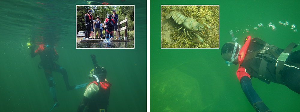 Dorkel snorkel training