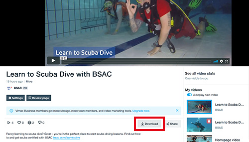 Download video file