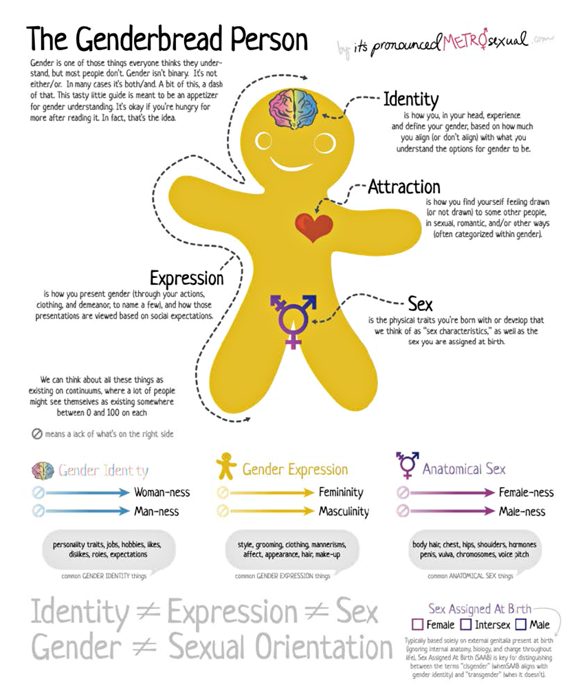 EDI Genderbread Person