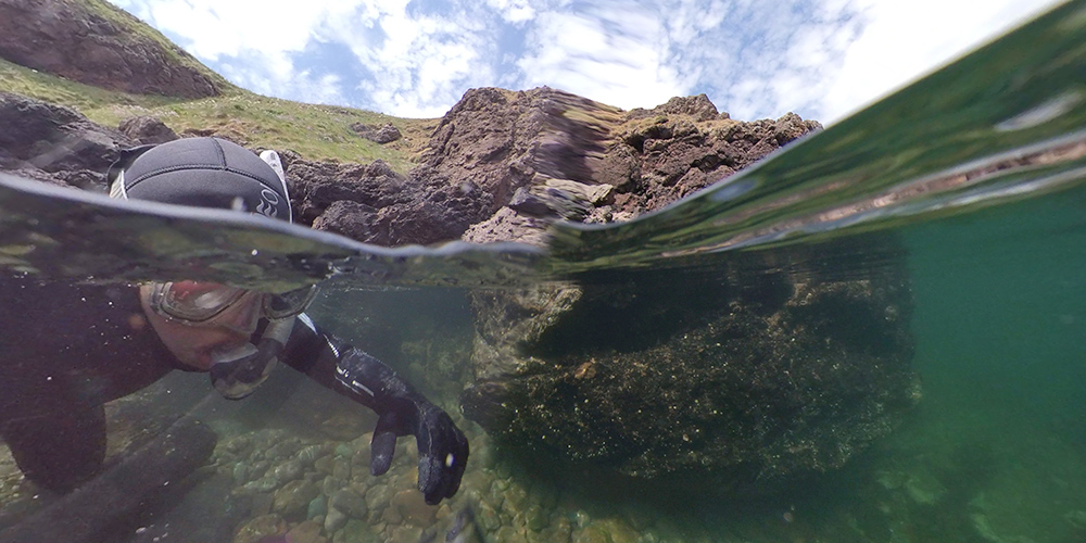 Wild snorkelling