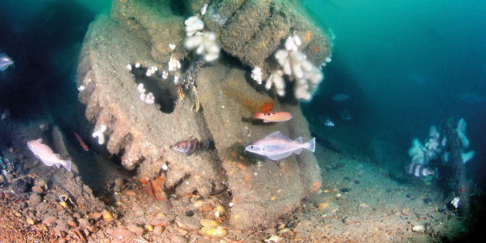 HMS St Dunstan