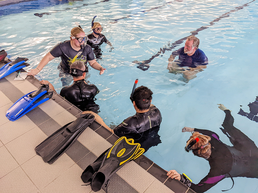 Teaching on a BSAC IFC