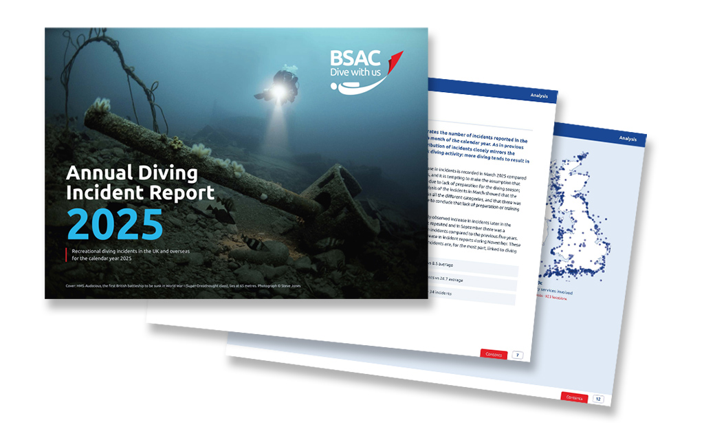Incident Report 2025 graphic