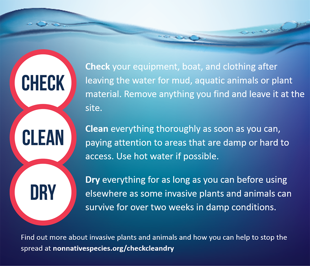 Check clean dry