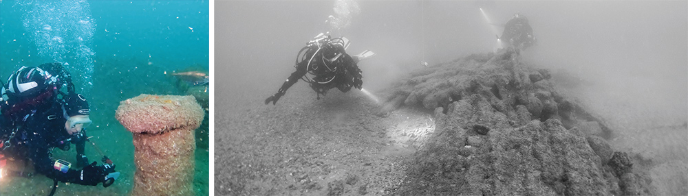 Cannon Historic Wreck in Lyme Bay