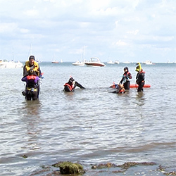 Learn to snorkel