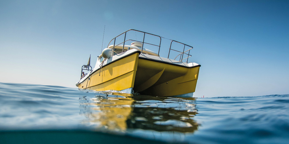 Local information and charter boats