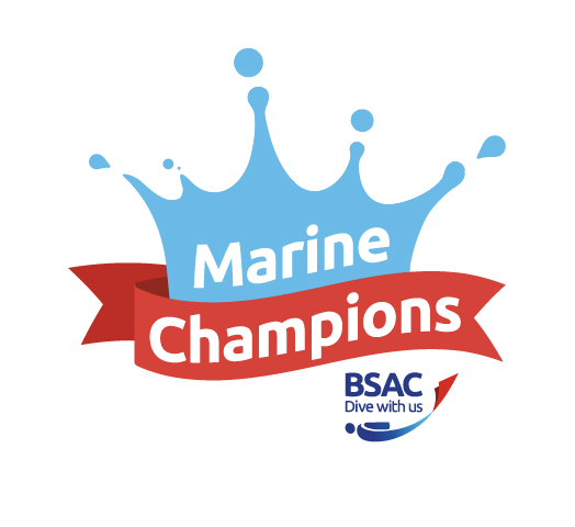 BSAC Marine Champions