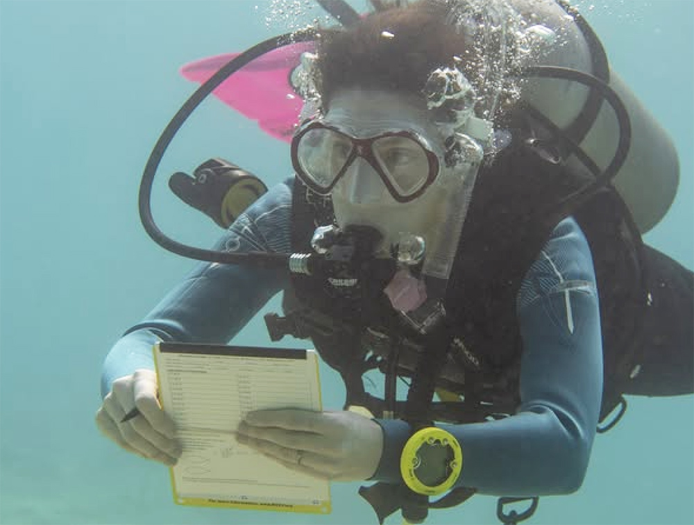 Cayman Island Divers