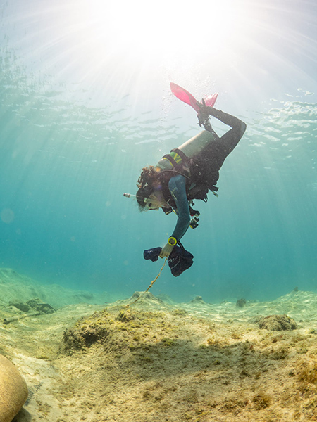 Cayman Islands divers