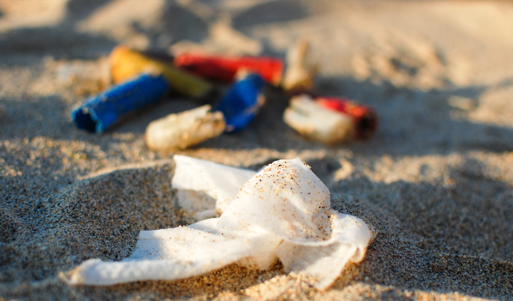 Natasha Ewins - MCS litter on beach