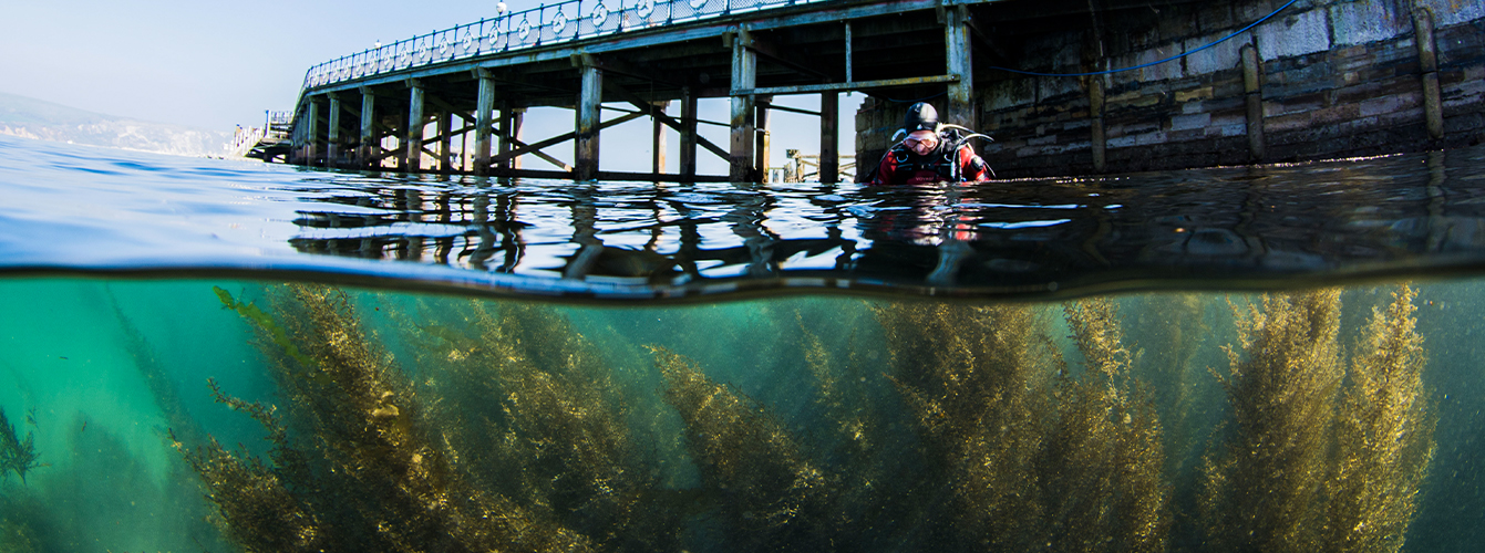 swanage pier