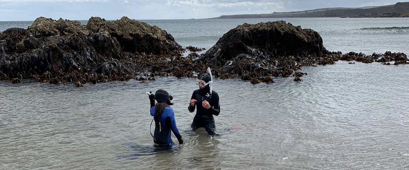 snorkel instructing