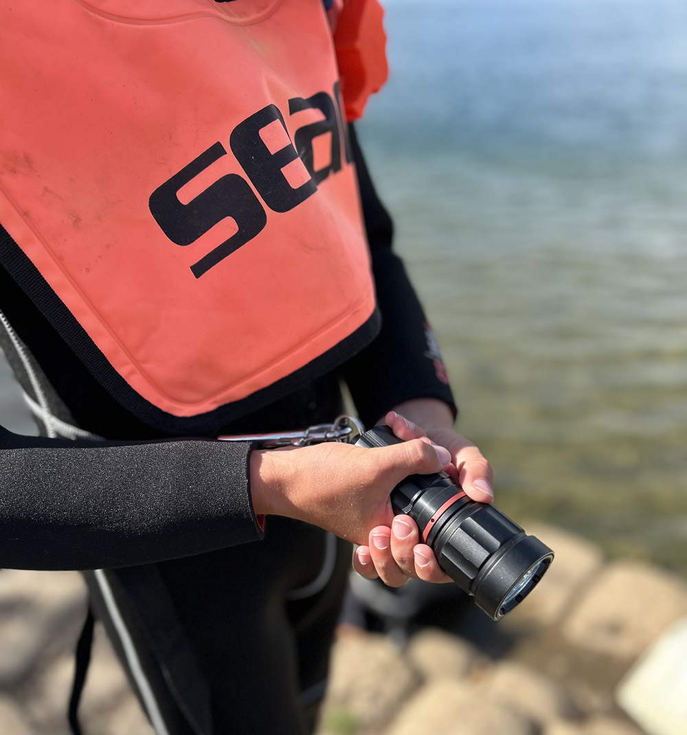 Night snorkelling with a torch