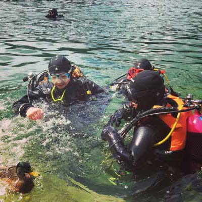 Ocean Diver training at Stoney, with assistance from the ducks 400x400