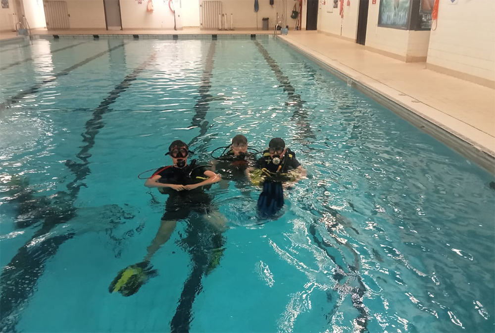 Phoenix SAC in the pool