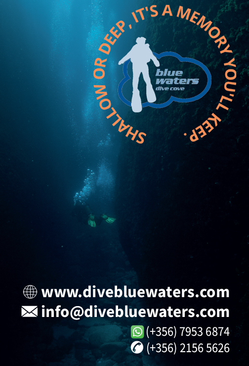 Dive Blue Waters