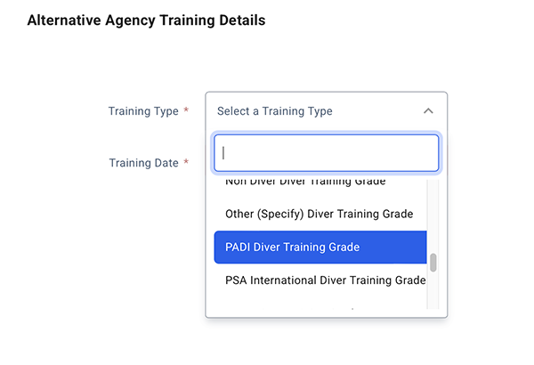 Alternative agency 4