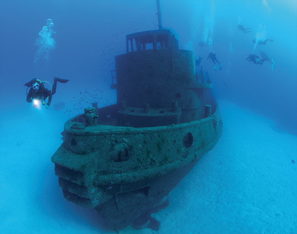 Rozi tug