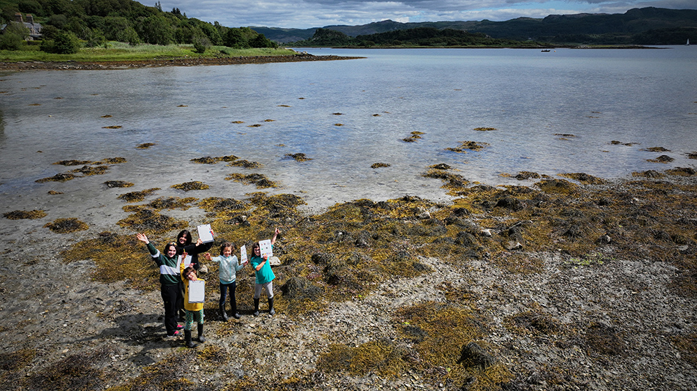 Seagrass surveying