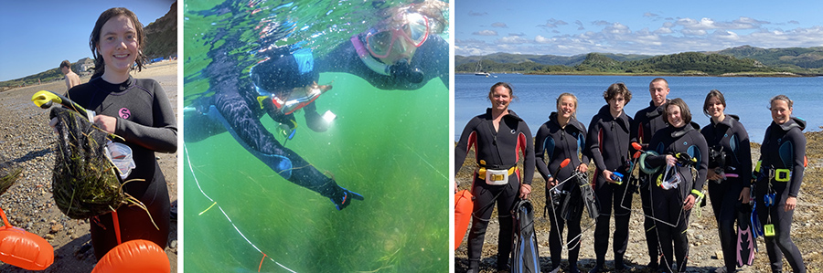 Young people harvesting seagrass